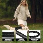 BUMBIN 6Ft Bungee Leash With 2 Handles for Large, Medium, Small Dogs - Heavy Duty, No Pull Shock Absorbing With Car Seat Belt for Training, Black