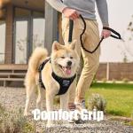 BUMBIN 6Ft Bungee Leash With 2 Handles for Large, Medium, Small Dogs - Heavy Duty, No Pull Shock Absorbing With Car Seat Belt for Training, Black