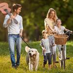 BUMBIN 6Ft Bungee Leash With 2 Handles for Large, Medium, Small Dogs - Heavy Duty, No Pull Shock Absorbing With Car Seat Belt for Training, Black