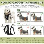 SlowTon Dog Seat Belt Harness for Car, Dog Car Harness Adjustable Mesh Breathable & Dog Seatbelt Safety Tether with Elastic Bungee for Small Medium Large Pets(Black, Double Clip, S)
