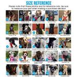 SlowTon Dog Seat Belt Harness for Car, Dog Car Harness Adjustable Mesh Breathable & Dog Seatbelt Safety Tether with Elastic Bungee for Small Medium Large Pets(Black, Double Clip, S)