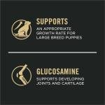 Purina Pro Plan Large Breed Dry Puppy Food, Chicken and Rice Formula - 18 lb. Bag