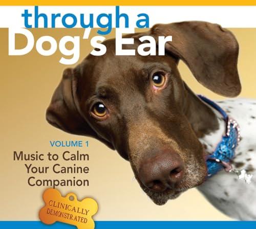 Soothing Music for Your Rescue Dog