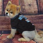 NFL Detroit Lions Dog T-Shirt for Pets, Size Medium. Officially Licensed Pet Shirt with Team Logo, Soft Stretchable Comfort Fit Apparel for Dogs & Cats