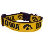 NCAA Iowa Hawkeyes Dog Collar (Team Color, Medium)