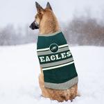 Pets First NFL Philadelphia Eagles Dog Sweater, Size Large. Warm and Cozy Knit Pet Sweater with NFL Team Logo, Best Puppy Sweater for Large and Small Dogs, Team Color (PHL-4179-LG)