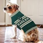 Pets First NFL Philadelphia Eagles Dog Sweater, Size Large. Warm and Cozy Knit Pet Sweater with NFL Team Logo, Best Puppy Sweater for Large and Small Dogs, Team Color (PHL-4179-LG)