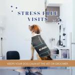 NFL Philadelphia Eagles Dog Shirt Calming Soothing Solution Vest for Dogs/Cats with Fears, Fireworks, Loud Noises, Dark, Lonely Keeps Dogs Calm Feeling Safe, Relaxing Jacket, Medium