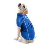 Littlearth NCAA Kentucky Wildcats Basic Pet Jersey, Team Color, X-Large