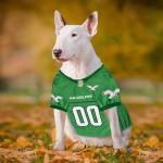 First NFL Philadelphia Eagles Retro Dog Football Jersey, Size Medium, Vintage Throwback Shirt