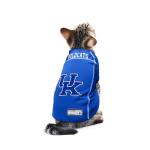 Littlearth NCAA Kentucky Wildcats Basic Pet Jersey, Team Color, X-Large