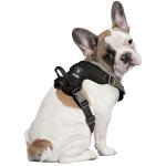 Littlearth NFL Las Vegas Raiders Pet Front Clip Harness, Team Color, X-Large