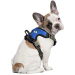 Littlearth NFL Los Angeles Rams Pet Front Clip Harness, Team Color, X-Large