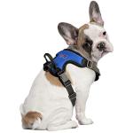 Littlearth Buffalo Bills NFL Front Clip Pet Harness