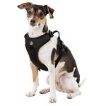 Littlearth NFL Las Vegas Raiders Pet Front Clip Harness, Team Color, X-Large