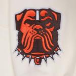 Pro Standard Mens NFL Cleveland Browns Wingspan Pull Over Hoodie Eggshell 3XL