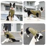 JoyDaog Warm Fleece Dog Coats with Durable Harness Buitl in D-Ring,Waterproof Puppy Jacket for Small Dogs,Dog Vest for Cold Winter,Green S