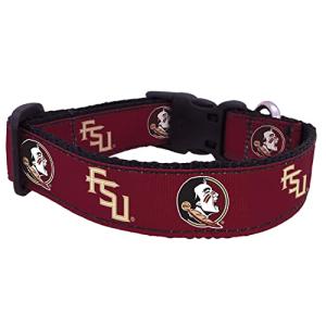 NCAA Florida State Seminoles Dog Collar (Team Color, Small)