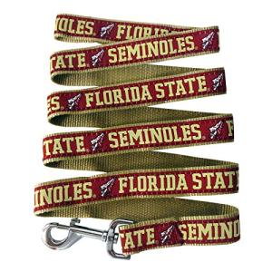NCAA PET String, Large, Florida State Seminoles, Dog String, Shiny & Colorful String for Dogs & Cats Licensed by the NCAA, Old Version