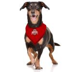 NCAA Ohio State Buckeyes Tie Bandana, Large/x-Large. Dog Bandana Scarf Bib for Pet Cat Dog. The Ultimate Game-Day, Party Bandana
