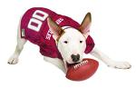 Pets First NCAA College Florida State Seminoles Mesh Jersey for DOGS & CATS, XX-Large. Licensed Dog Jersey with your Favorite Football/Basketball College Team