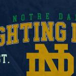 NCAA Notre Dame Fighting Irish Vintage Arch Block Ultra Soft Blanket