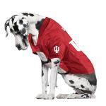 Littlearth NCAA Indiana Hoosiers Stretch Pet Jersey, Team Color, Big Dog