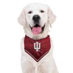 Pets First NCAA Indiana Hoosiers TIE Bandana, Size Large/X-Large. Dog Bandana Scarf Bib for Pet Cat Dog. The Ultimate Game-Day, Party Bandana