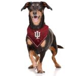 Pets First NCAA Indiana Hoosiers TIE Bandana, Size Large/X-Large. Dog Bandana Scarf Bib for Pet Cat Dog. The Ultimate Game-Day, Party Bandana