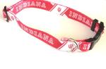 Indiana Hoosiers Pet Dog Adjustable Nylon Collar (XS)