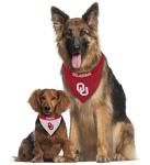 Pets First Collegiate Pet Accessories, Reversible Bandana, Indiana Hoosiers, Small/Medium