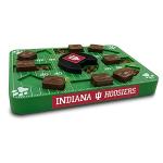 Pets First NCAA Indiana Hoosiers Puzzle Toy, Puzzle Treat Dog Toy, Interactive Dog Treat Toy, Dog Puzzle Fedding Slow Toy