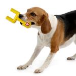 NCAA Indiana Hoosiers Mega-Chew Hard Nylon Bacon-Flavored Dog Bone Football Goal-Post Chew Toy. Interactive, Tasty & Fun Dog Chew Toy. Indestructible, Strong, Tough & Durable Pet Chew Toys