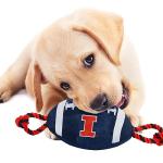 Pets First NCAA Illinois Fighting Illini Football Dog Toy, Tough Quality Nylon Materials, Strong Pull Ropes, Inner Squeaker, Collegiate Team Color