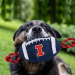 Pets First NCAA Illinois Fighting Illini Football Dog Toy, Tough Quality Nylon Materials, Strong Pull Ropes, Inner Squeaker, Collegiate Team Color