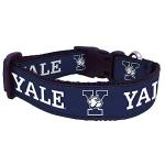 All Star Dogs NCAA Yale Bulldogs University Dog Collar, Large, Navy