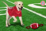 Pets First NCAA Louisville Cardinals Football Dog Toy, Tough Quality Nylon Materials, Strong Pull Ropes, Inner Squeaker, Collegiate Team Color