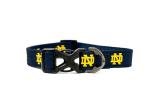 StadiumSpot Officially Licensed NCAA Premium Dog Collar, Notre Dame Large