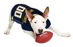 Pets First NCAA College Michigan Wolverines Mesh Jersey for Dogs & Cats, Medium. Licensed Big Dog Jersey with Your Favorite Football/Basketball College Team (Pack of 2)