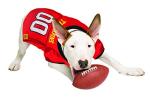 Pets First NCAA College Maryland Terrapins Mesh Jersey for Dogs & Cats, Small. Licensed Big Dog Jersey with Your Favorite Football/Basketball College Team (Pack of 2)