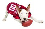 NCAA College Oklahoma Sooners Mesh Jersey for Dogs & Cats, Medium. Licensed Big Dog Jersey with Your Favorite Football/Basketball College Team (Pack of 2)