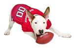 NCAA College Georgia Bulldogs Mesh Jersey for Dogs & Cats, Small. Licensed Big Dog Jersey with Your Favorite Football/Basketball College Team (Pack of 2)