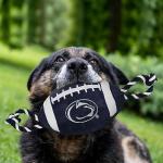 Pets First NCAA Penn State Nittany Lions Football Dog Toy, Tough Quality Nylon Materials, Strong Pull Ropes, Inner Squeaker, Collegiate Team Color