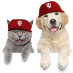 Littlearth NCAA Indiana Hoosiers Pet Baseball Hat, Team Color, Large