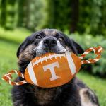 Pets First NCAA Tennessee Volunteers Football Dog Toy, Tough Quality Nylon Materials, Strong Pull Ropes, Inner Squeaker, Collegiate Team Color