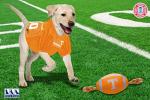 Pets First NCAA Tennessee Volunteers Football Dog Toy, Tough Quality Nylon Materials, Strong Pull Ropes, Inner Squeaker, Collegiate Team Color