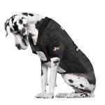Littlearth Purdue Boilermakers NCAA Stretch Pet Jersey