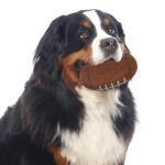 Littlearth NCAA Tough Chewer Pet Football Purdue Boilermakers