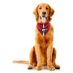 Littlearth NCAA Georgia Bulldogs Pet Bandana, Team Color, Medium