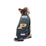 Littlearth NCAA Purdue Boilermakers Basic Pet Jersey, Team Color, X-Large
